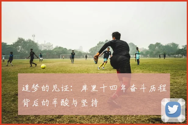 追梦的见证：库里十四年奋斗历程背后的辛酸与坚持