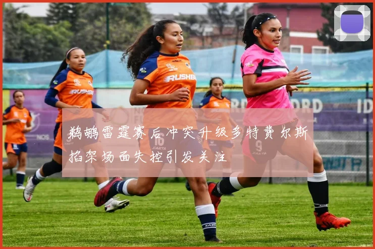 鹈鹕雷霆赛后冲突升级多特费尔斯掐架场面失控引发关注